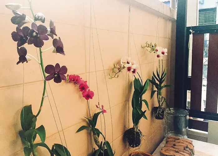 Stay Hostel Bangkok